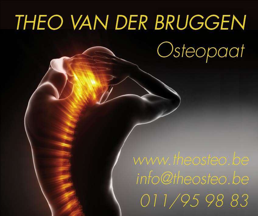 Logo Theosteo - osteopaat en causopractor in Kortessem